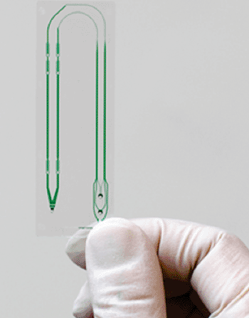 Image: A microfluidic chip captures circulating tumor cell (Photo by Berkin Cilingiroglu, courtesy of MGH). Image: A microfluidic chip captures circulating tumor cell (Photo by Berkin Cilingiroglu, courtesy of MGH).